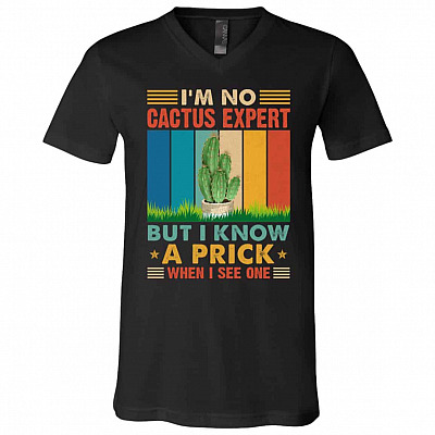 Retro I'm No Cactus tshirt, Black, V-Neck T-Shirt