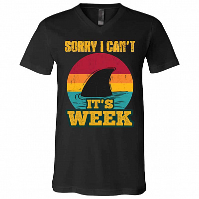 V-Neck T-Shirt