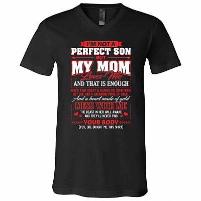 V-Neck T-Shirt