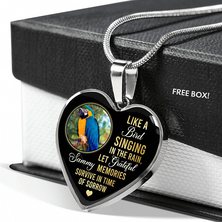 Personalized Parrot Photo Like A Bird Singing In The Rain Heart Pendant Necklace - Memorial Pet Custom Photo Gift