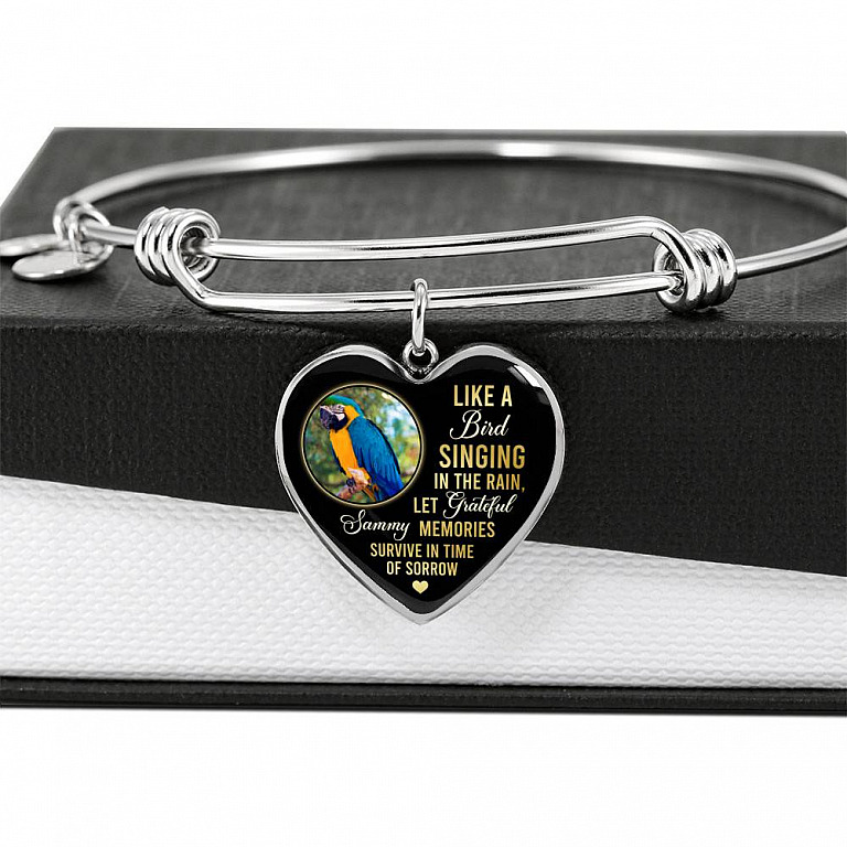 Personalized Parrot Photo Like A Bird Singing In The Rain Heart Pendant Necklace - Memorial Pet Custom Photo Gift