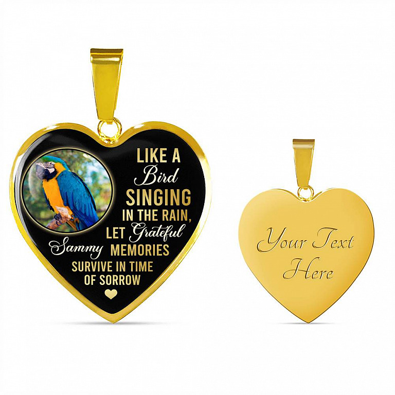Personalized Parrot Photo Like A Bird Singing In The Rain Heart Pendant Necklace - Memorial Pet Custom Photo Gift