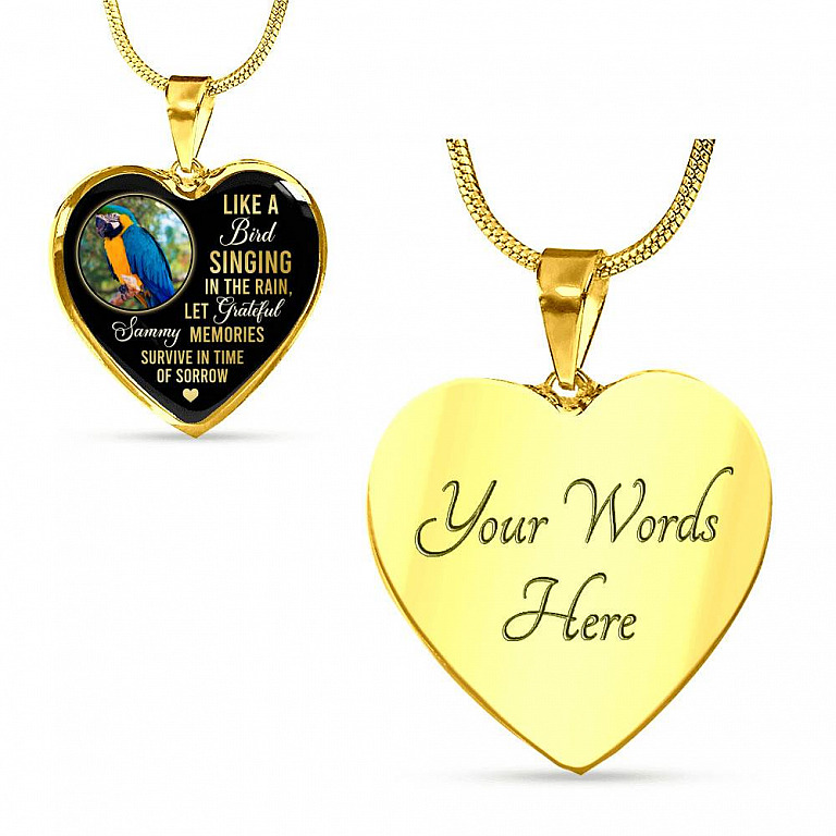 Personalized Parrot Photo Like A Bird Singing In The Rain Heart Pendant Necklace - Memorial Pet Custom Photo Gift