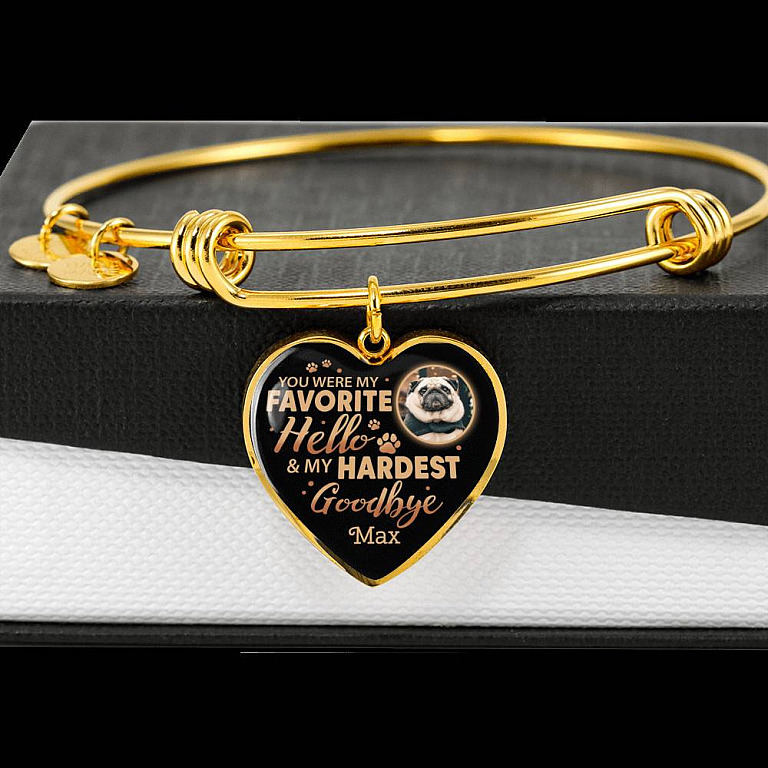 Personalized Photo You Were My Favorite Hello and My Hardest Goodbye Pet Memorial Heart Pendant Necklace
