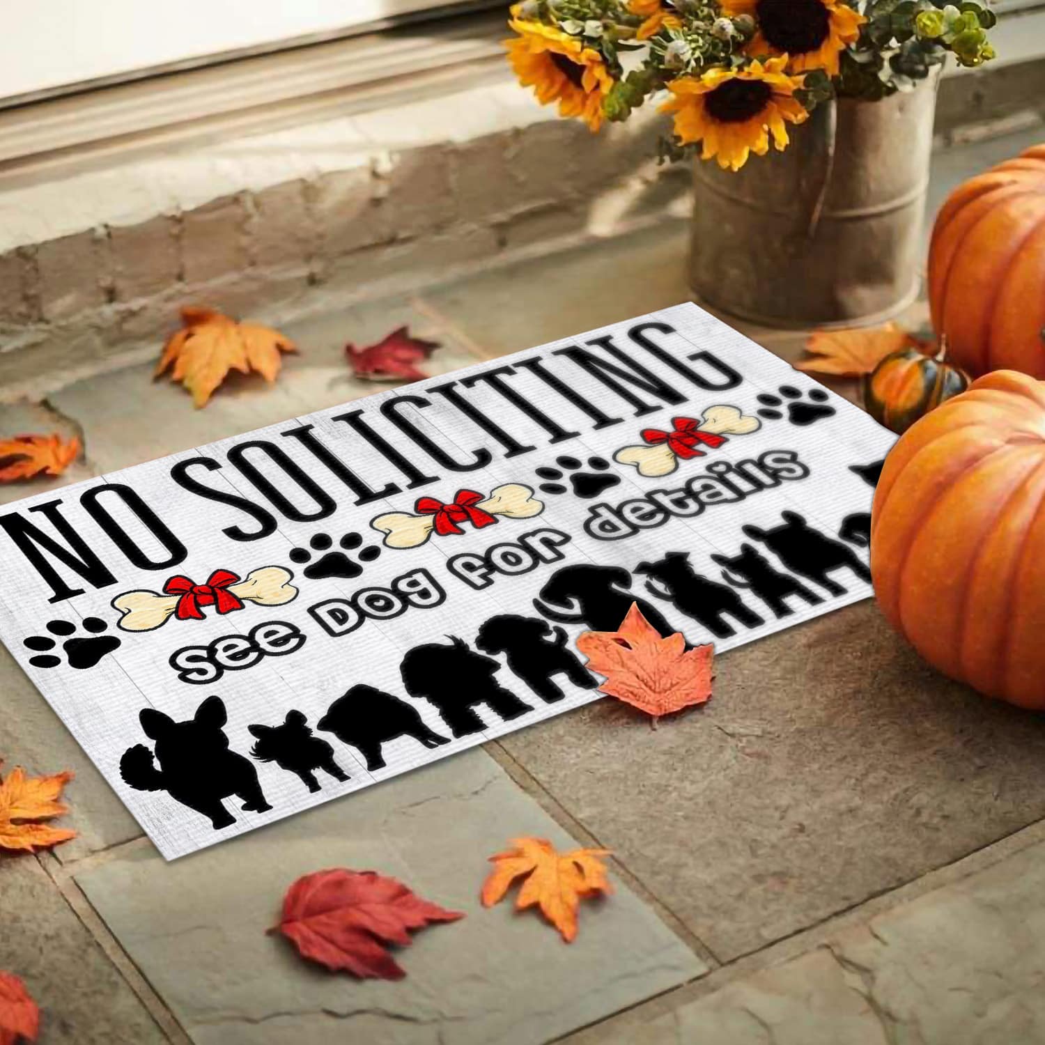 8MH. Soliciting Dog Details Doormat mockup 9