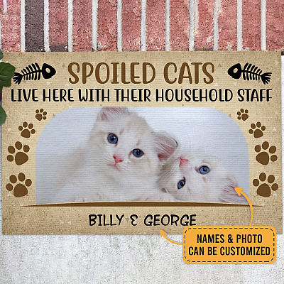 Personalized Photo A Spoiled Cats Live Here With Their Household Staff Indoor Outdoor Decorative Doormat