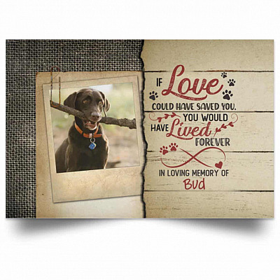 Unframed Poster