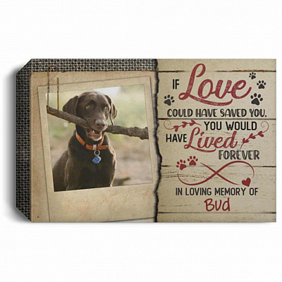 1.5'' Deluxe Canvas