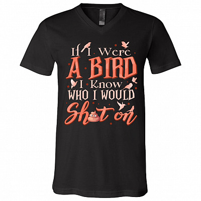 V-Neck T-Shirt