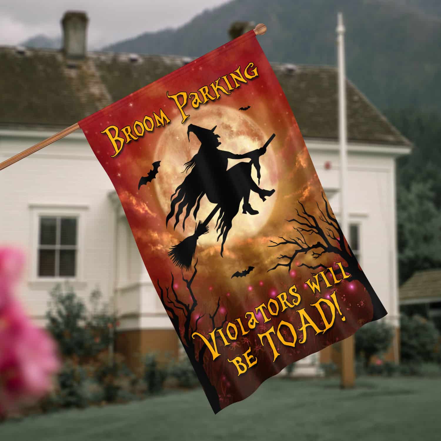 10BN. Broom Parking 30x40 House Flag Mockup 4