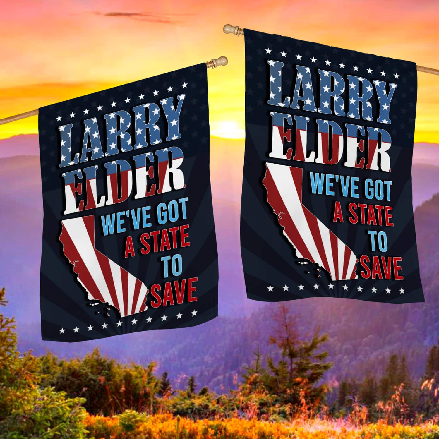 2KNG. Larry State Flag 30x40 House Flag Mockup 2 Side