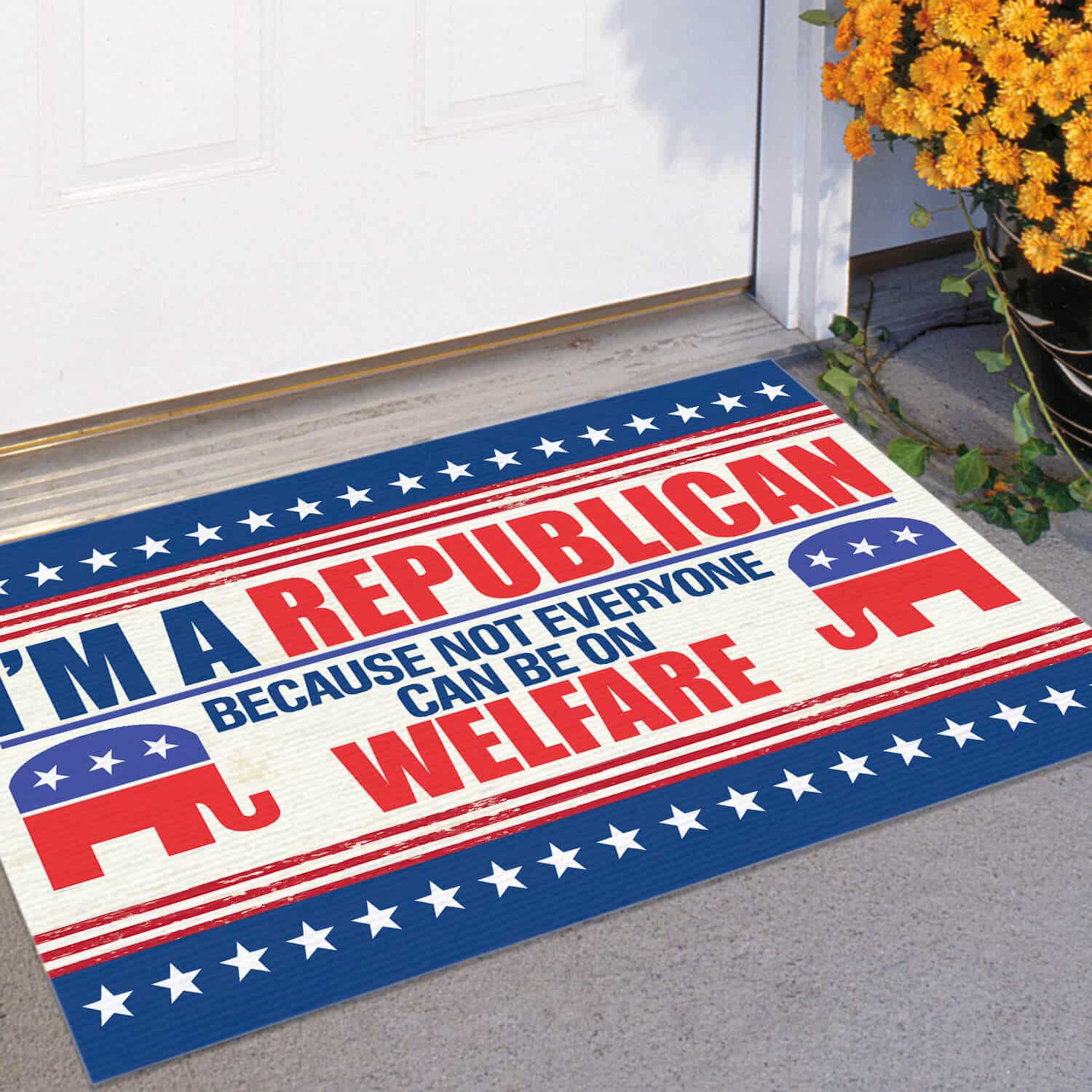 6TM. A Republican DOORMAT (2) Doormat mockup 11