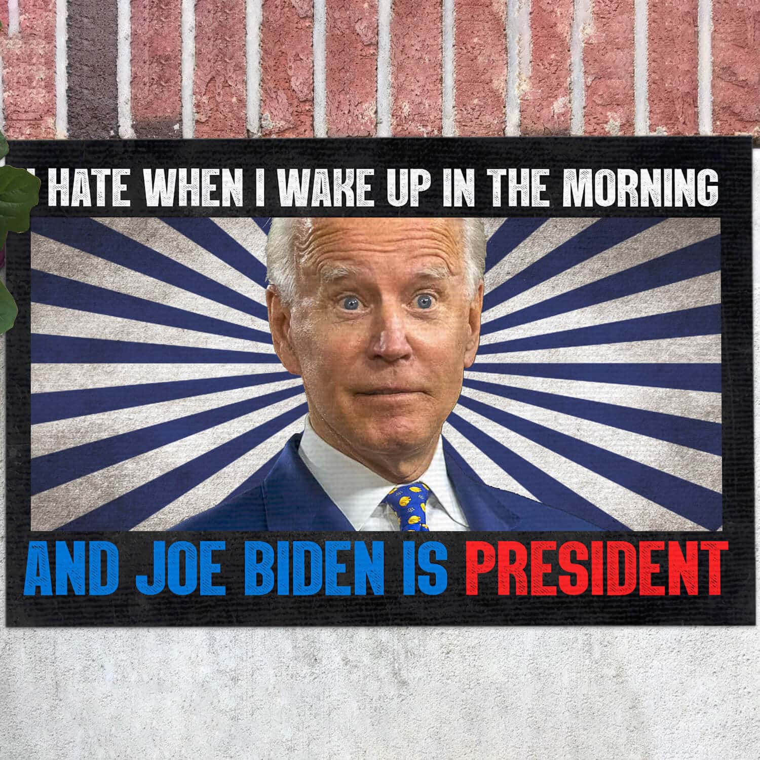 4TM. Hate Morning Biden DOORMAT (3) Doormat mockup 12