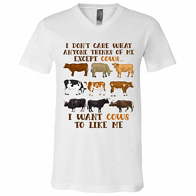 V-Neck T-Shirt