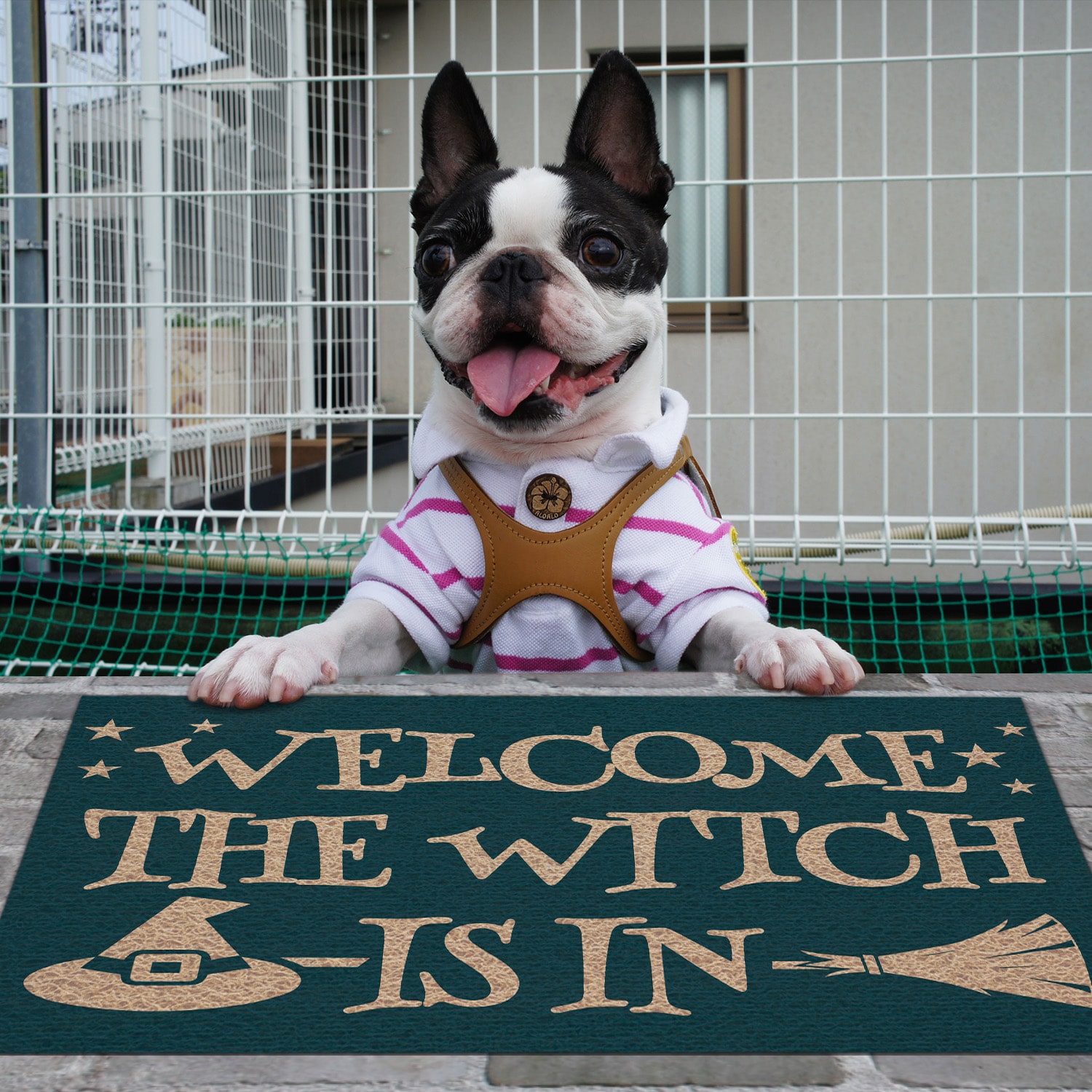 7Th. Witch Is In (4) Boston Terrier Doormat Mockup