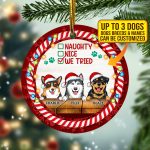 7vt. Naughty Nice We Tried Ornament Mk3