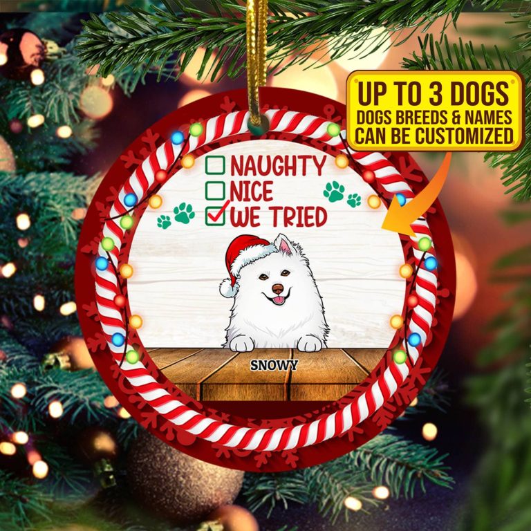 7vt. Naughty Nice We Tried Ornament Mk2