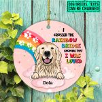 5vt. Crossed The Rainbow Bridge Ornament Mk3