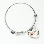 I Hide My Tears When I Say Your Name But The Pain In My Heart Is Still The Same Cardinal Heart Pendant Necklace - Bangle