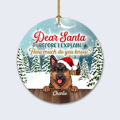 Decorative Ornament