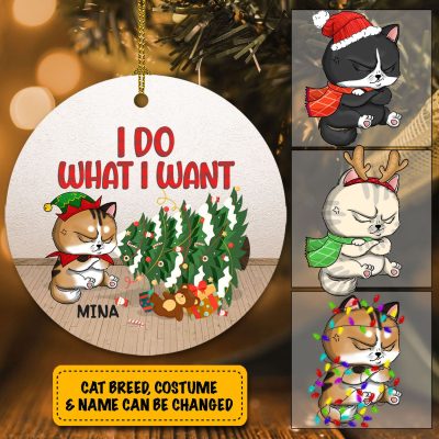 Personalized Cat Breed I Do What I Want Funny Angry Cat Decorative Christmas Circle Ornament