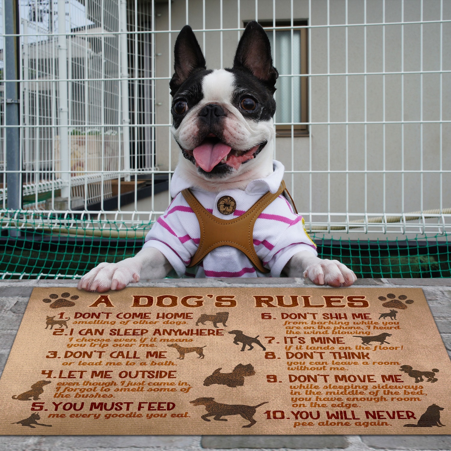 3. A Dog's Rules (doormat) Boston Terrier Doormat Mockup