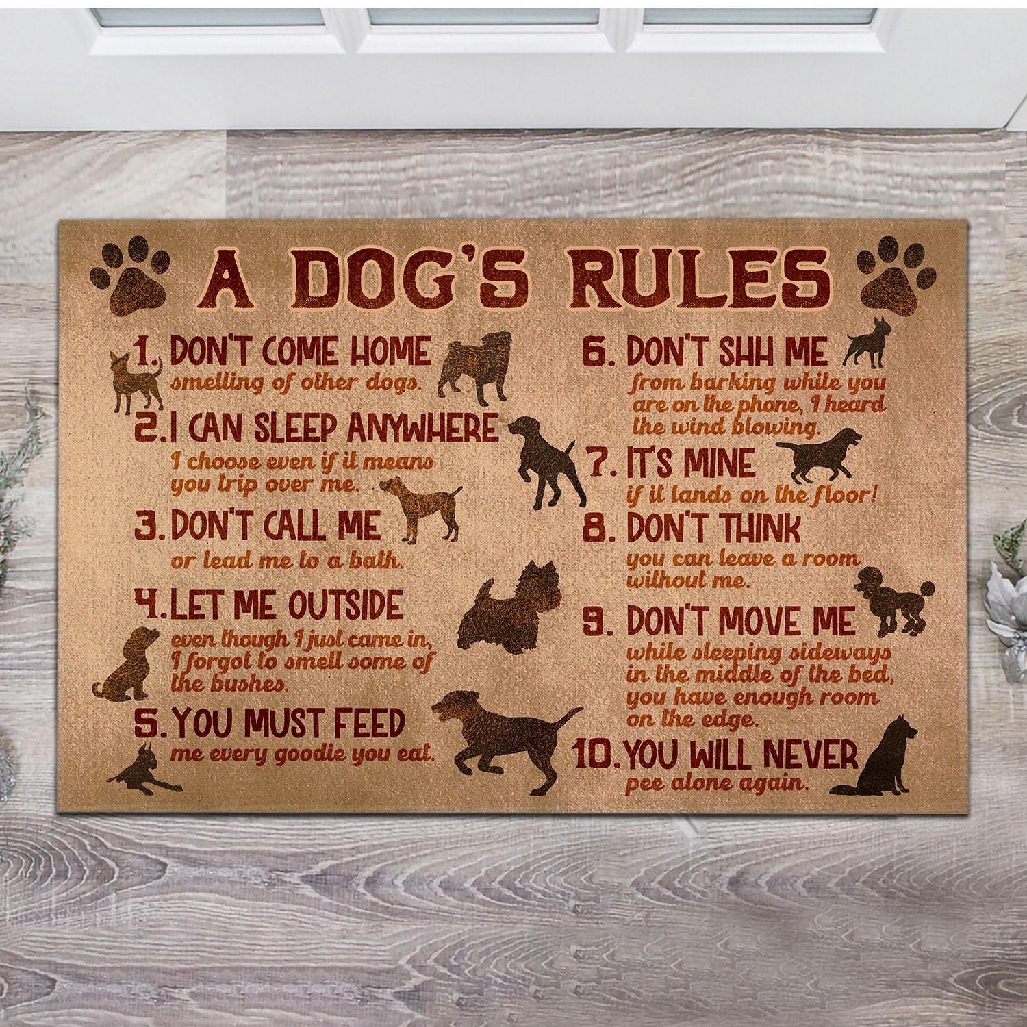 3. A Dog's Rules (doormat) Doormat mockup 14