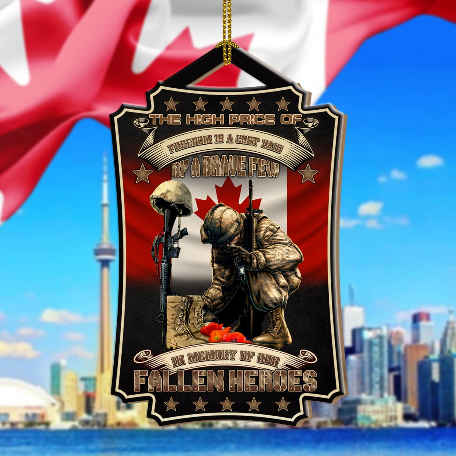 3Th. Fallen Heroes Canadian Veteran mk1