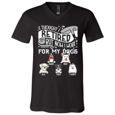 V-Neck T-Shirt