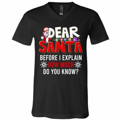 V-Neck T-Shirt