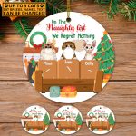 Personalized Cat Breeds On The Naughty List I Regret Nothing Decorative Christmas Ornament - Holiday Gifts