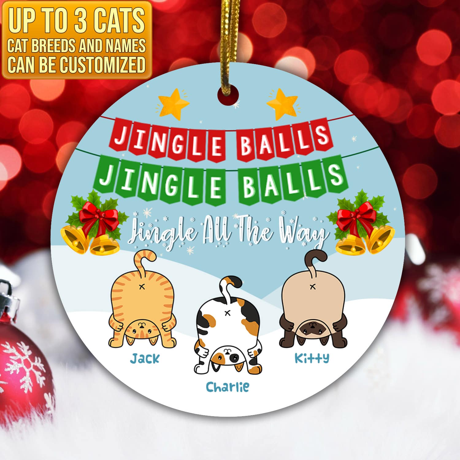 5BN. Jingle Balls Mockup 4
