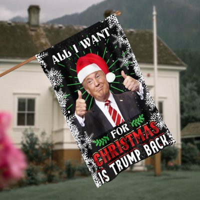 All I Want For Christmas Is Trump Back Flag - Funny Trump Christmas Garden Flag - House Flag