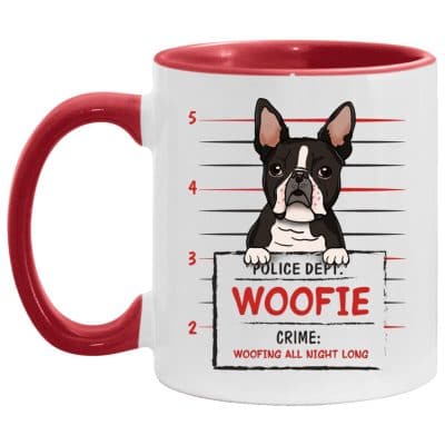 11 oz. Accent Mug