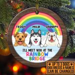 2BN. Rainbow Bridge dog mk3