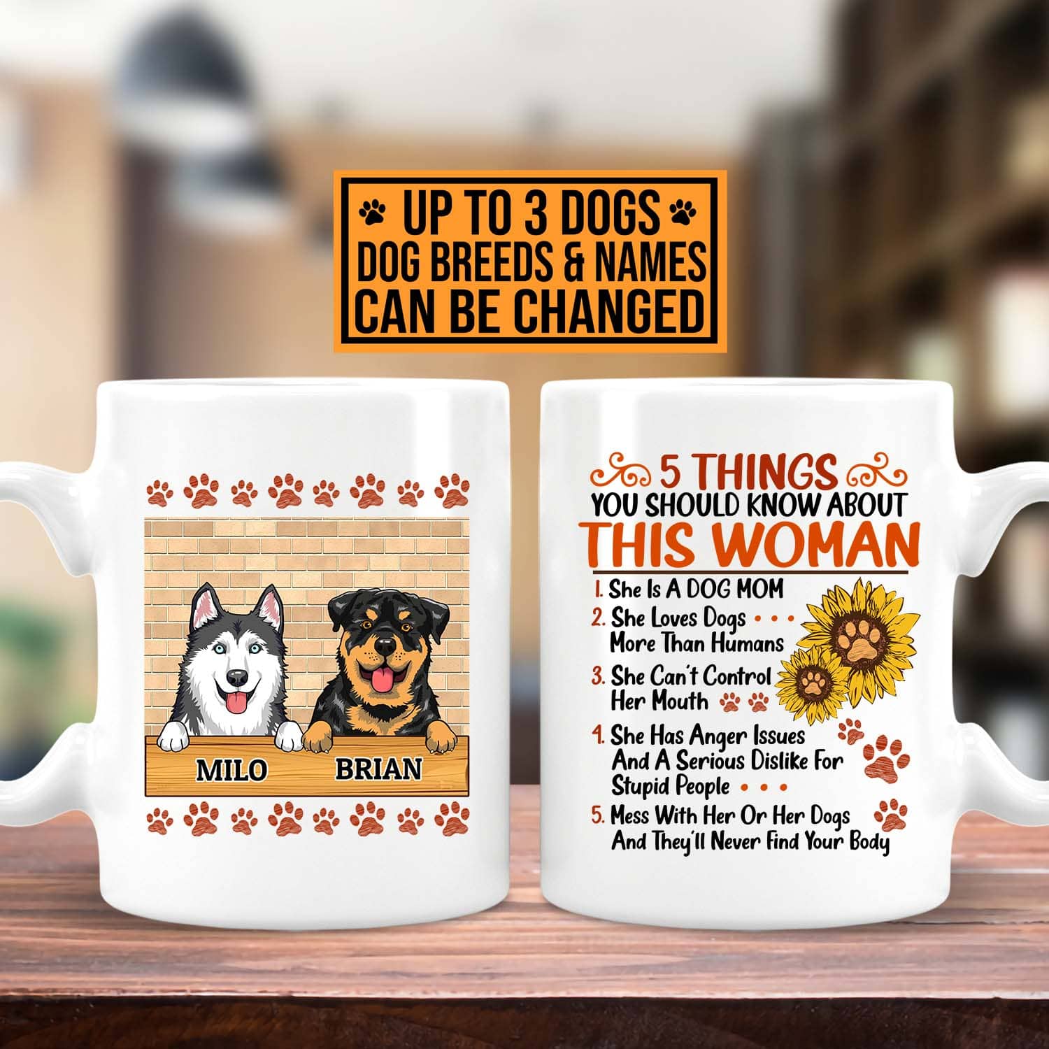 6VT. Dog Mom 5 Things You Should Know mug 2 side mk2