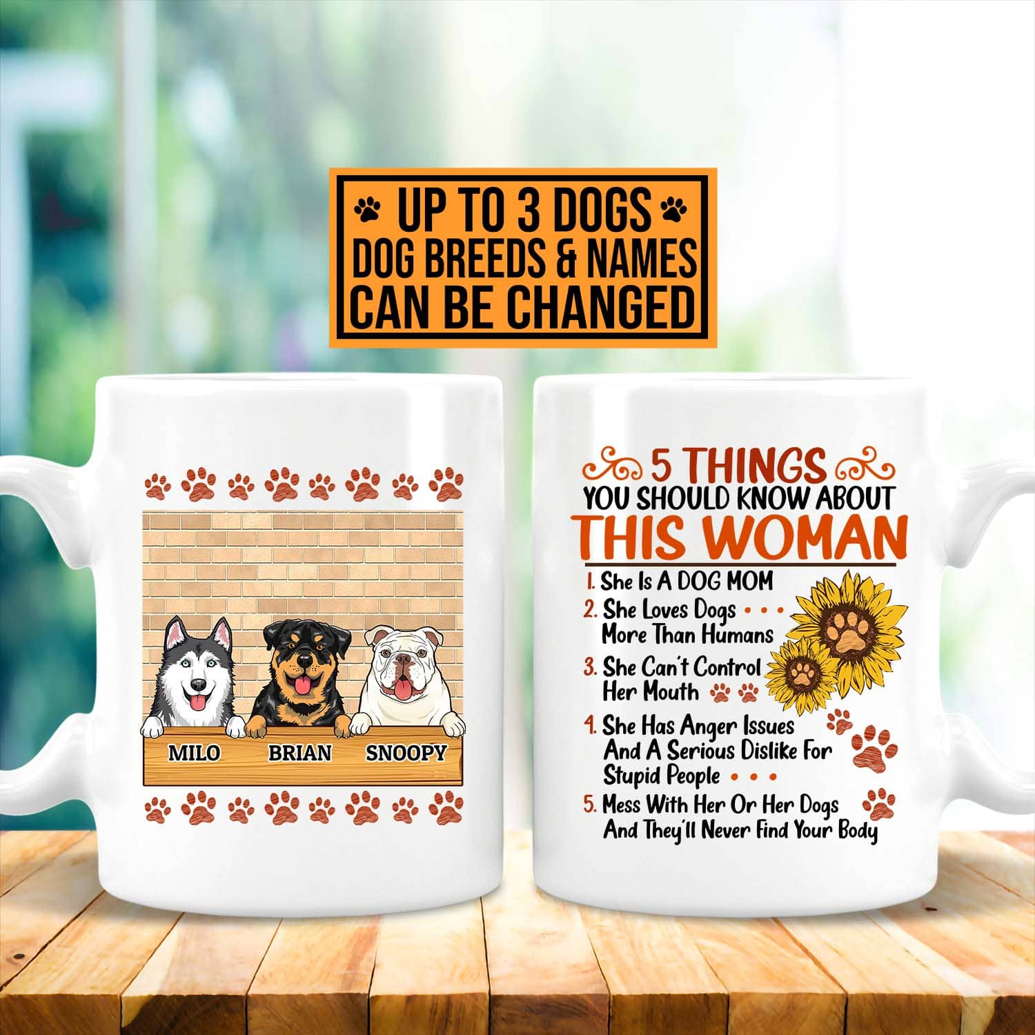 6VT. Dog Mom 5 Things You Should Know mug 2 side mk3