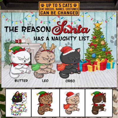 Personalized Cat Breeds The Reason Santa Has A Naughty List Christmas House Doormat - Outdoor Indoor Doormat