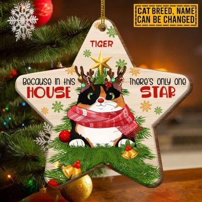 Personalized Cat Breeds Because In This House There's Only One Star Custom Shaped Wooden Christmas Ornament