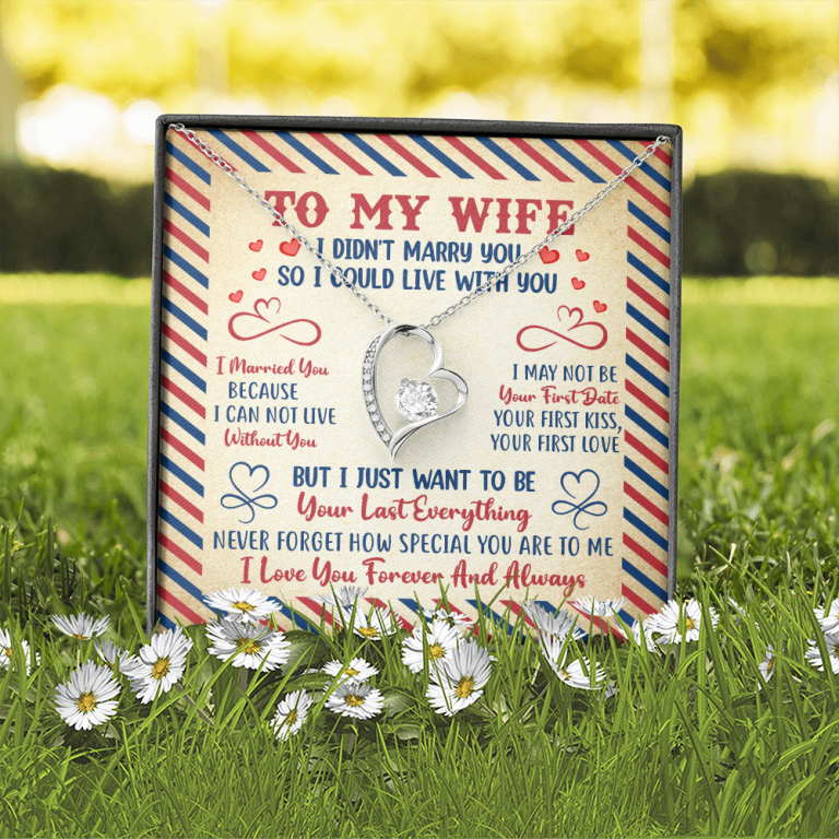Valentines Gifts for Her To My Wife I Didn't Marry You so I Could Live with You Forever Love Pendant Necklace