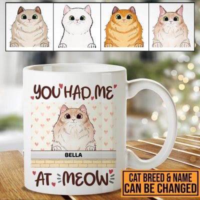 Personalized Cat Breed You Had Me At Meow Ceramic Coffee Mug - Water Bottle - Beer Stein