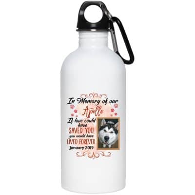 20 oz. Stainless Water Bottle