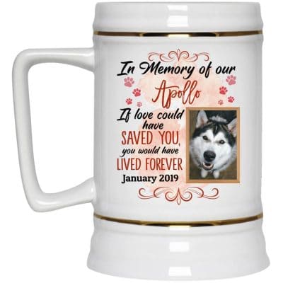 22 oz. Beer Stein