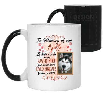 11 oz. Color Changing Mug