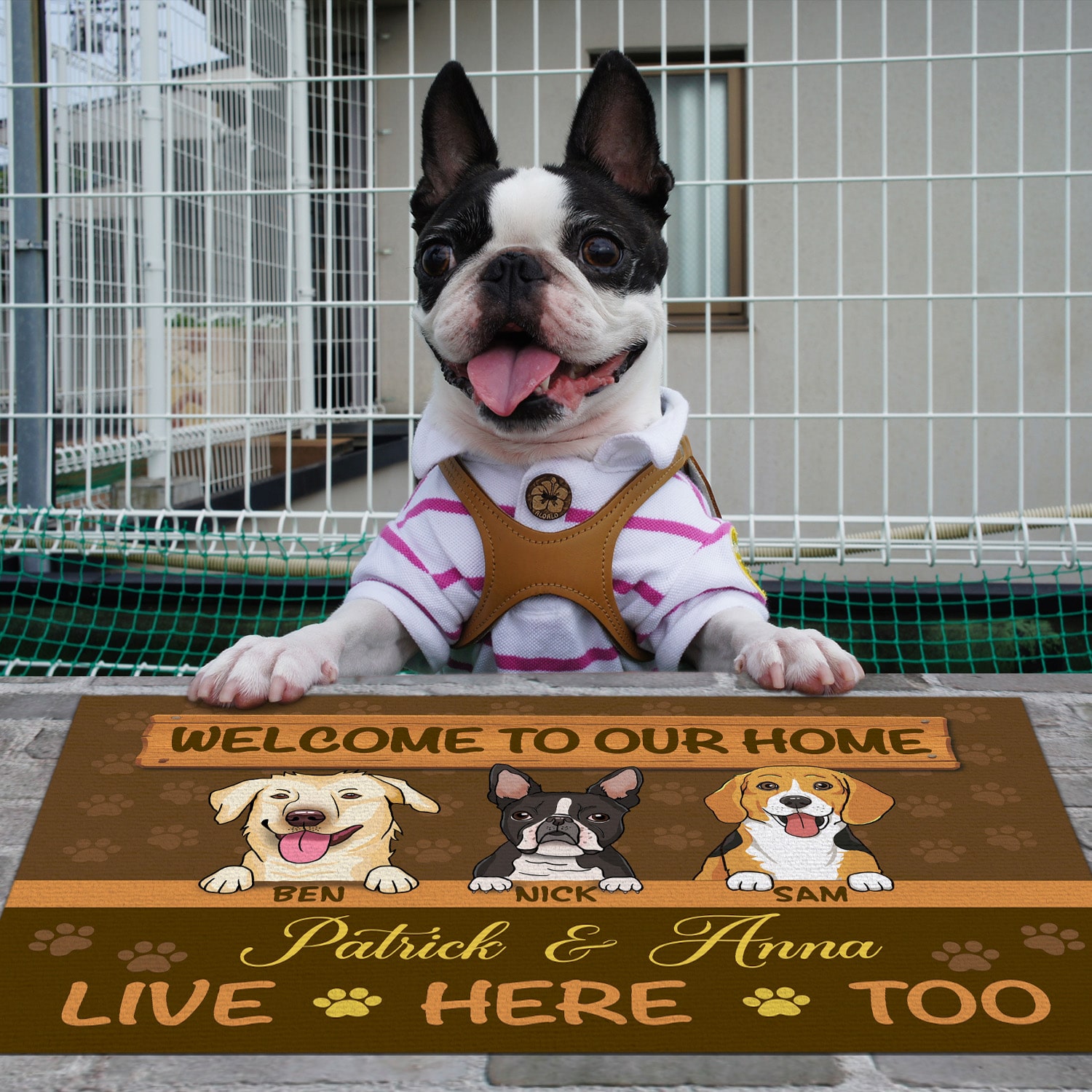 3Th. Dog's House Live Here (Sample Design 3) Boston Terrier Doormat Mockup