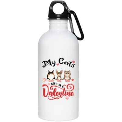 20 oz. Stainless Water Bottle