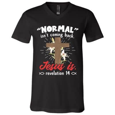 3Th. Normal Isn't Coming Back Jesus, Black, V-Neck T-Shirt