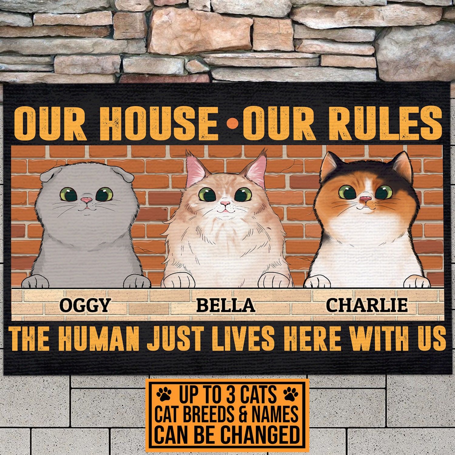 1VT. Cat Our House Our Rules doormat mk3