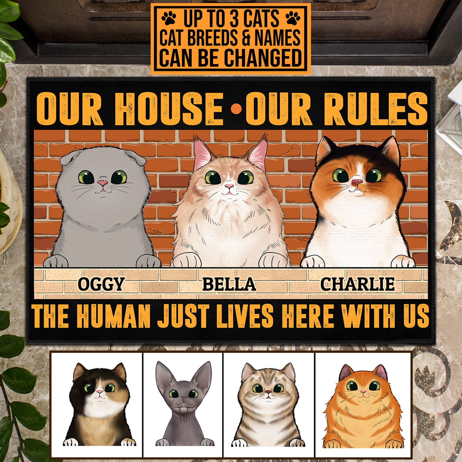 1VT. Cat Our House Our Rules doormat mk4