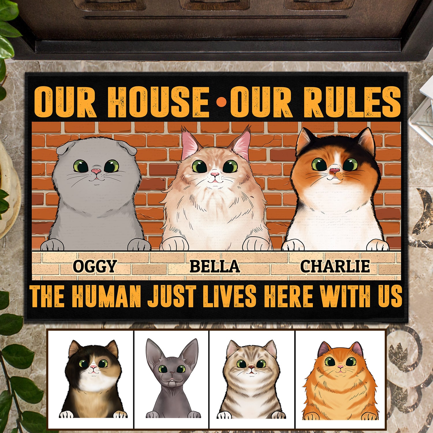 1VT. Cat Our House Our Rules doormat mk5